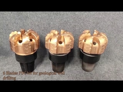 Các bit điều khiển mức độ phân phân phân cho xử lý khí có thể tùy chỉnh